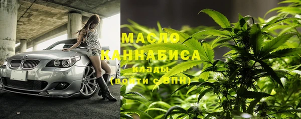 сатива Волосово