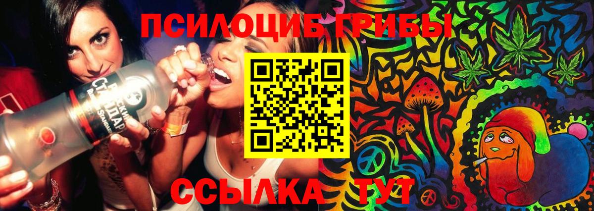 Галлюциногенные грибы мицелий  Псилоцибиновые грибы Cubensis  Ноябрьск  Вход с VPN 